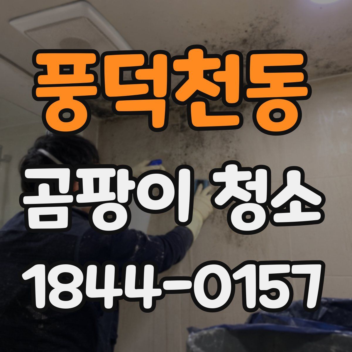 풍덕천동 곰팡이 청소