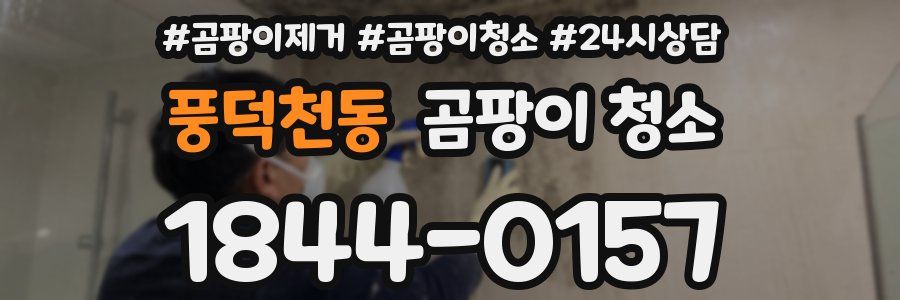 풍덕천동 곰팡이 청소