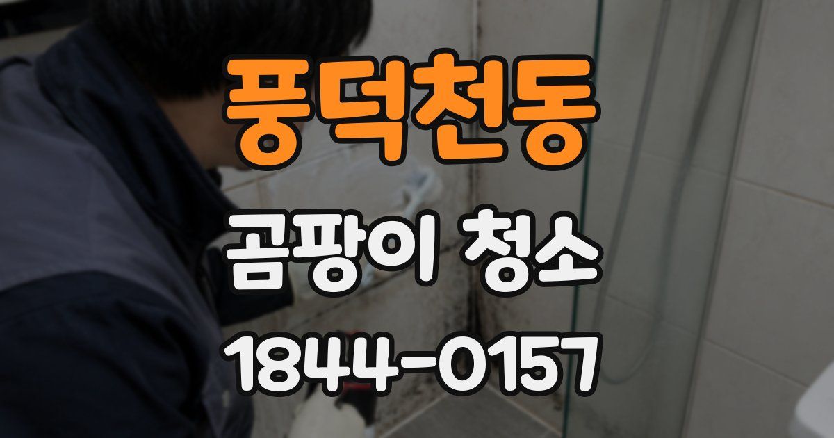 풍덕천동 곰팡이 청소