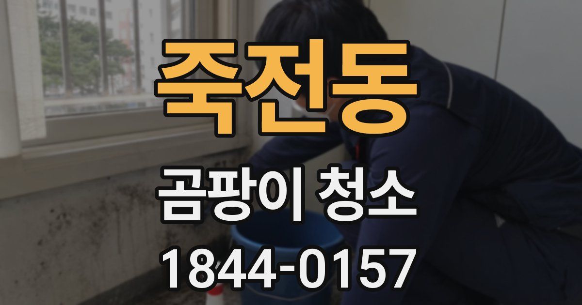 죽전동 곰팡이 청소