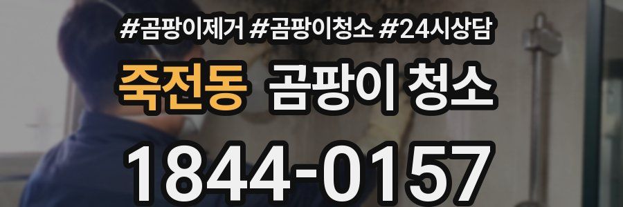 죽전동 곰팡이 청소