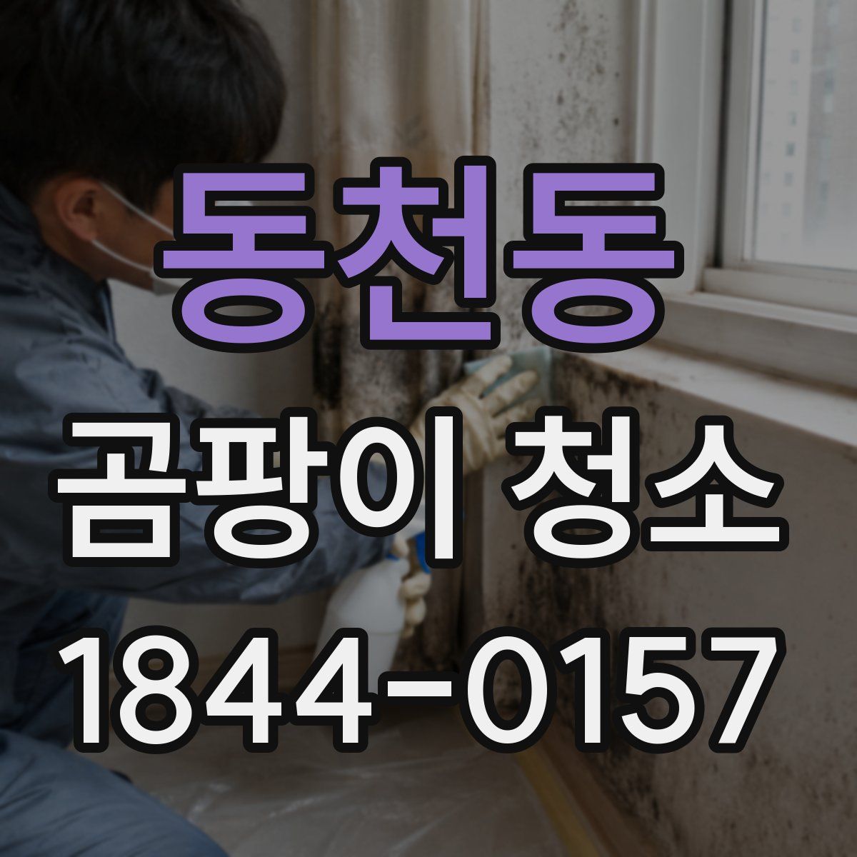 동천동 곰팡이 청소