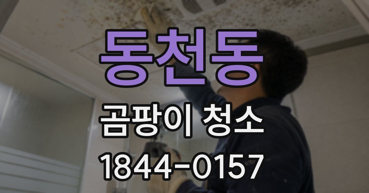 동천동 곰팡이 청소