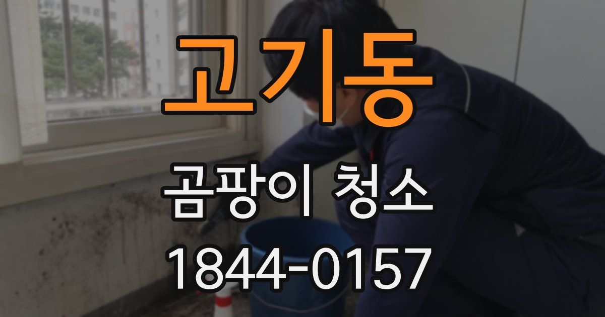 고기동 곰팡이 청소