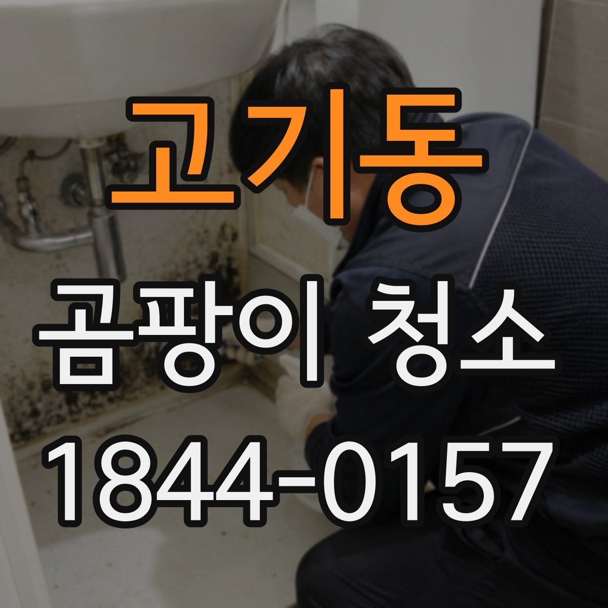 고기동 곰팡이 청소