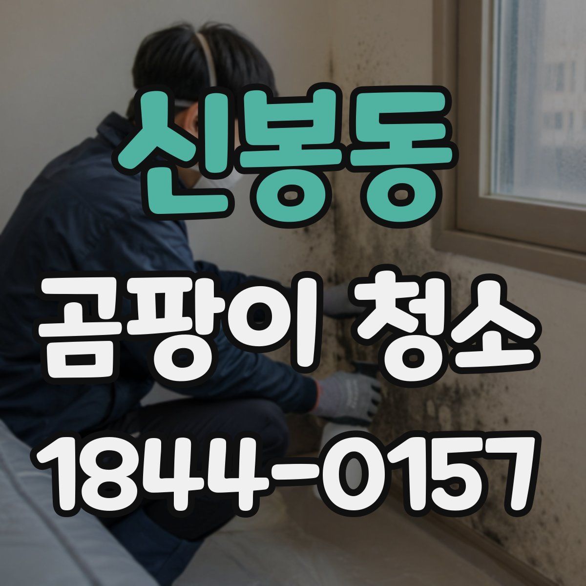 신봉동 곰팡이 청소