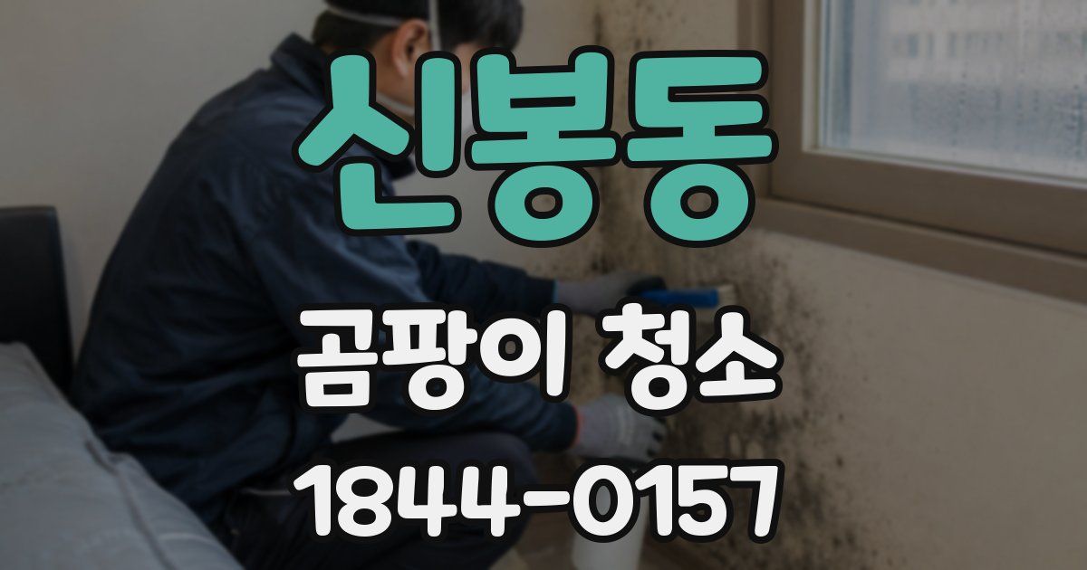 신봉동 곰팡이 청소