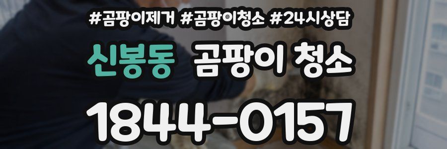 신봉동 곰팡이 청소