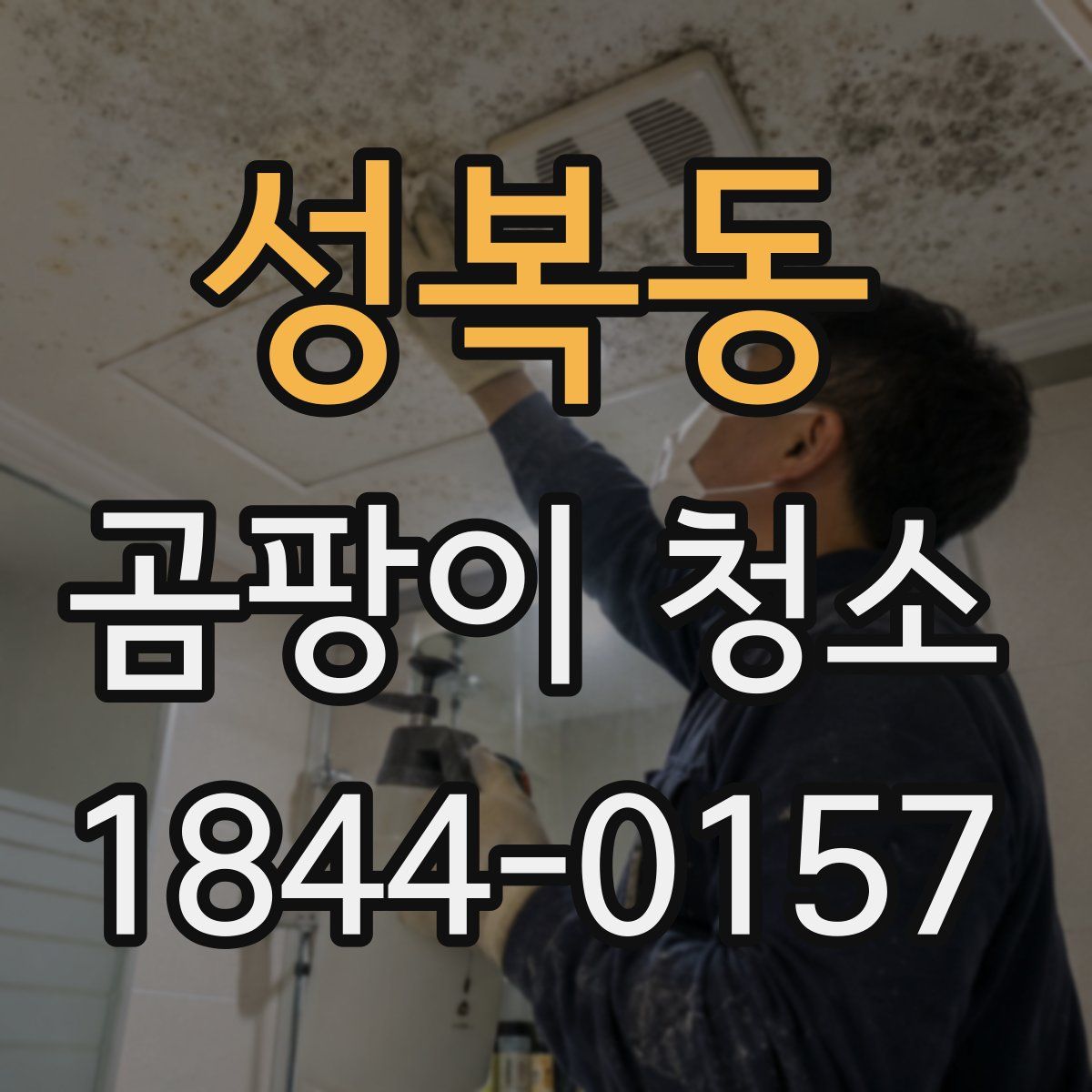 성복동 곰팡이 청소