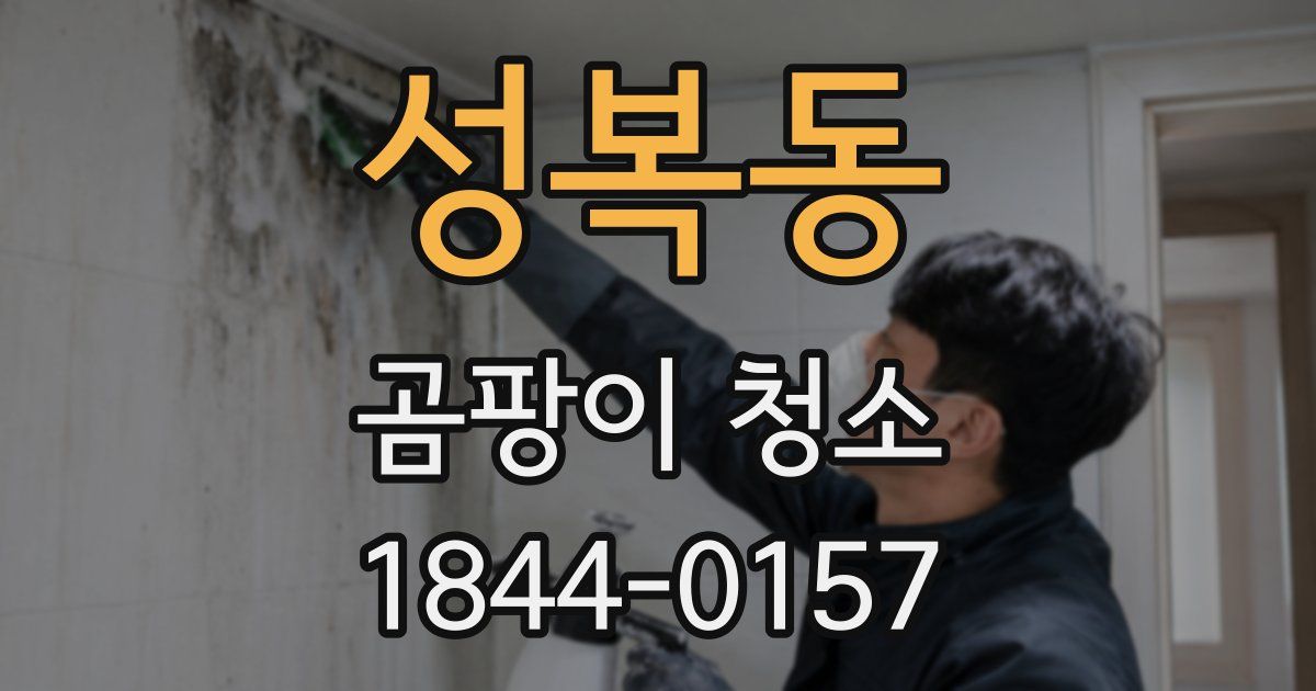 성복동 곰팡이 청소