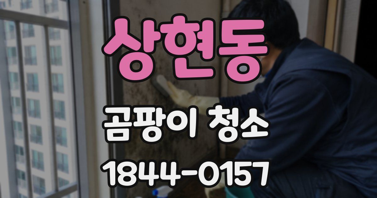 상현동 곰팡이 청소