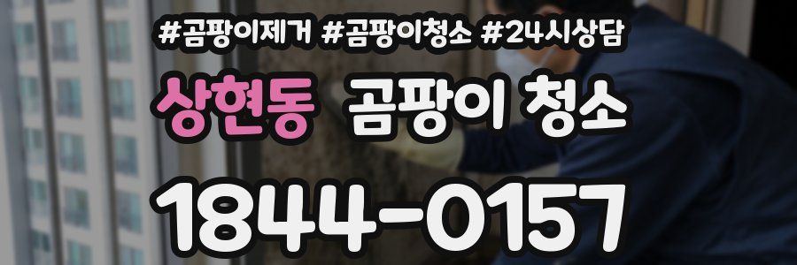 상현동 곰팡이 청소
