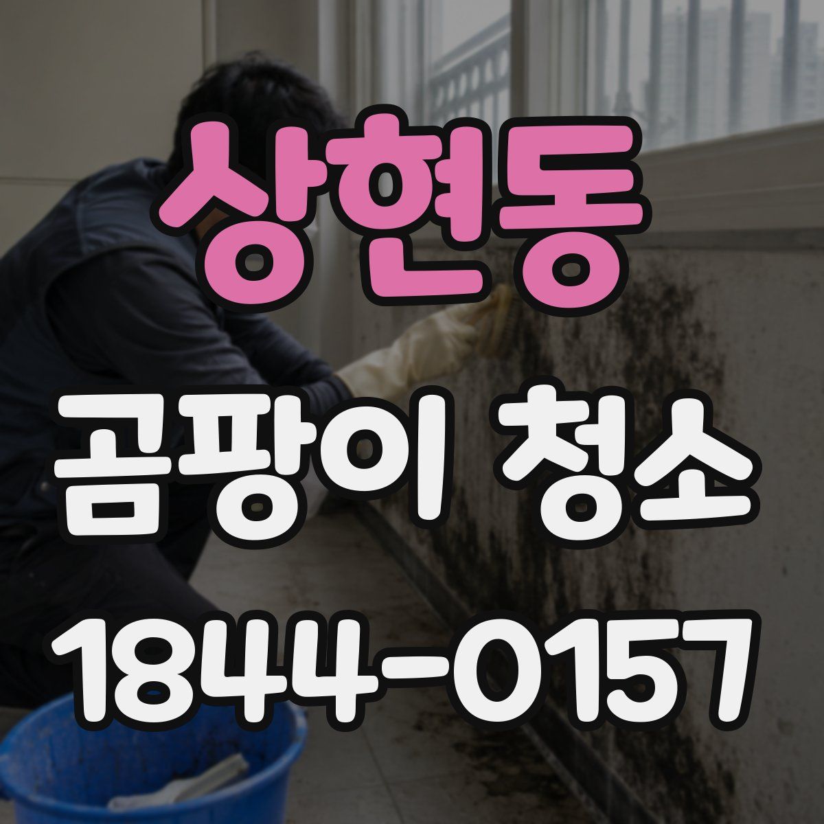 상현동 곰팡이 청소