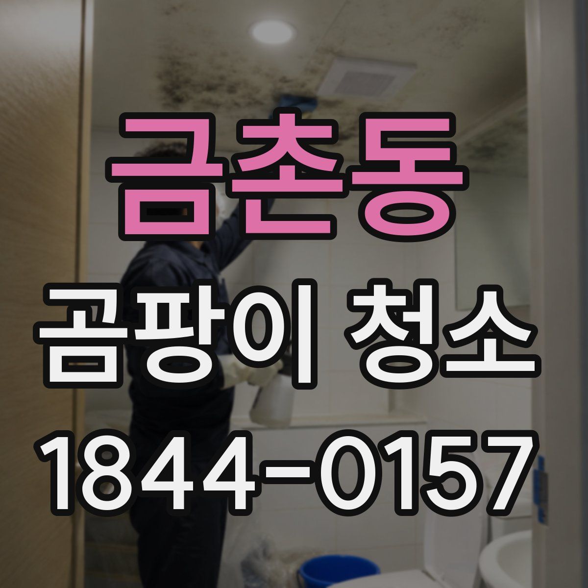 금촌동 곰팡이 청소