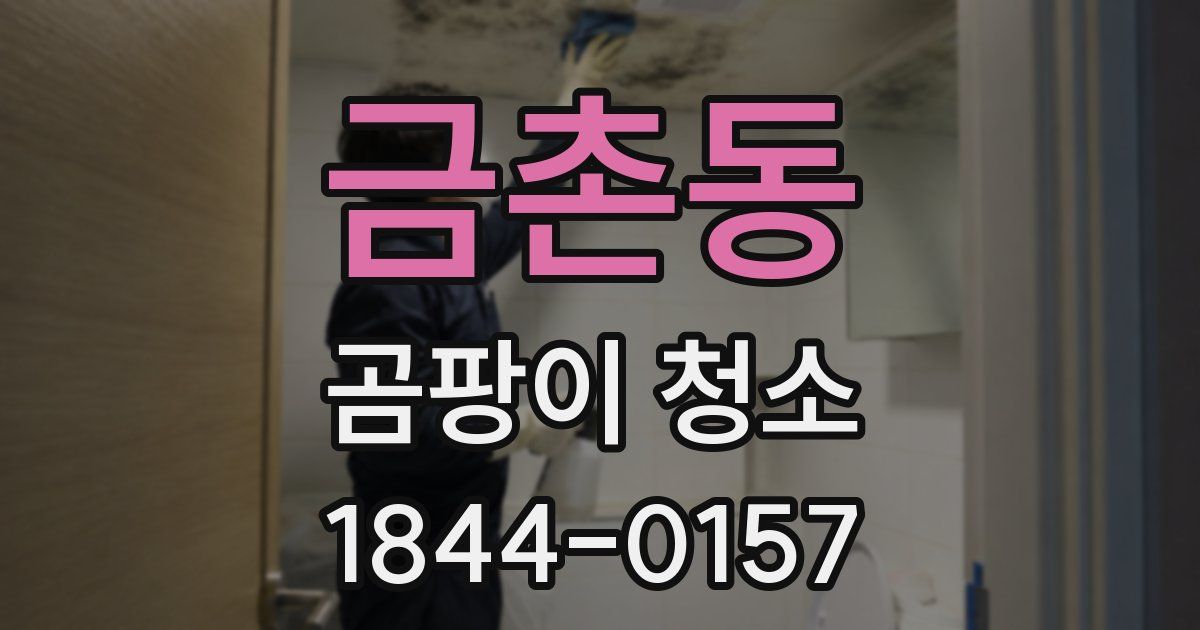 금촌동 곰팡이 청소