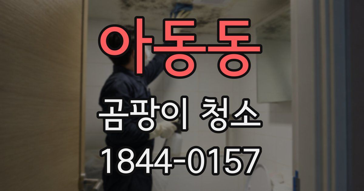 아동동 곰팡이 청소
