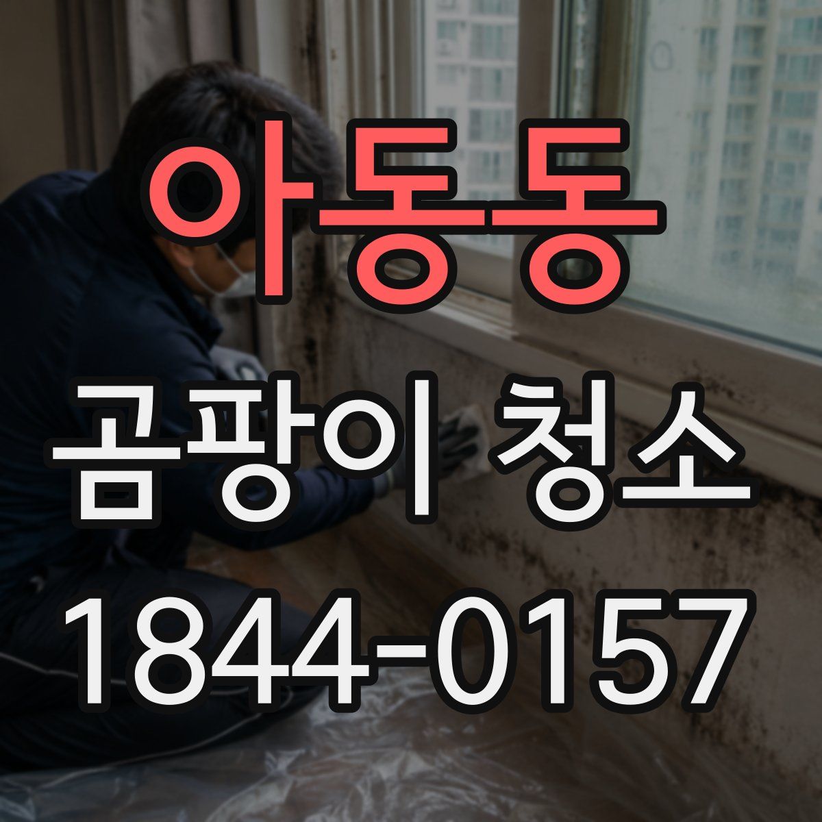 아동동 곰팡이 청소