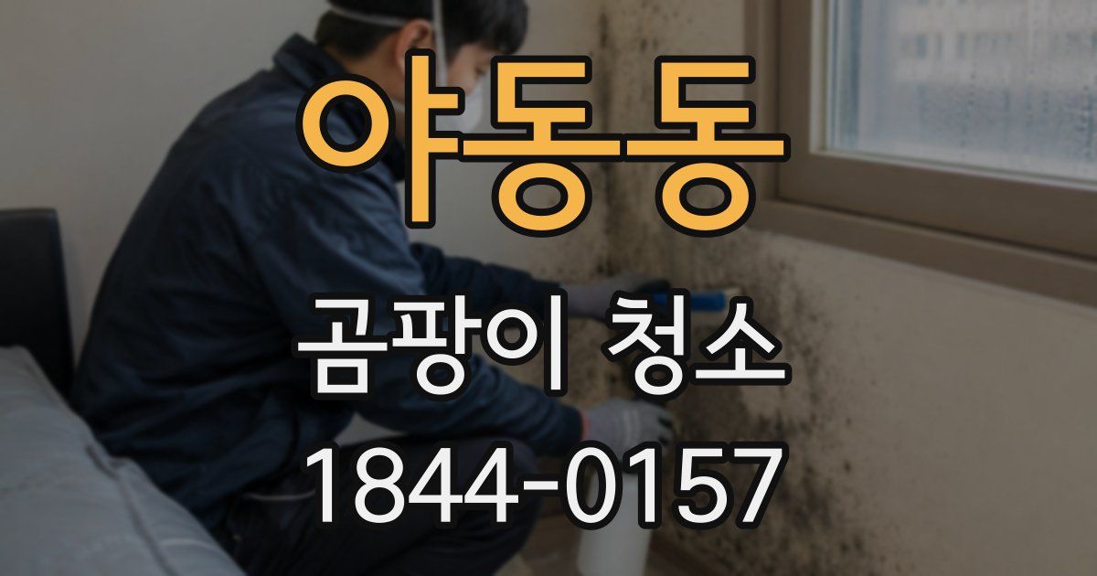 야동동 곰팡이 청소