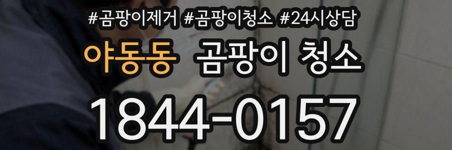 야동동 곰팡이 청소