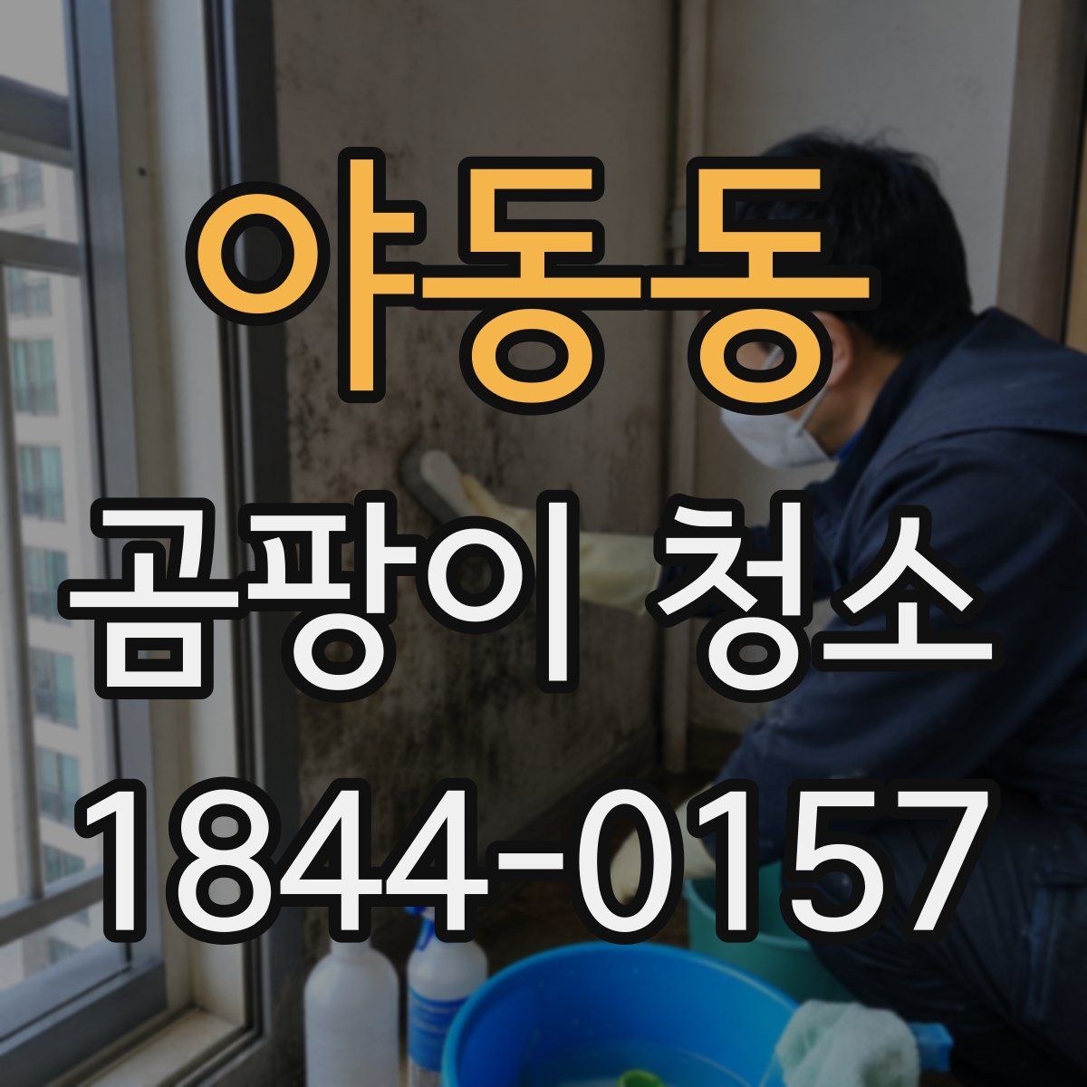 야동동 곰팡이 청소