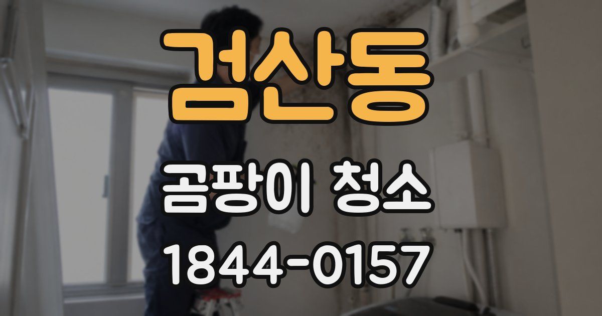검산동 곰팡이 청소
