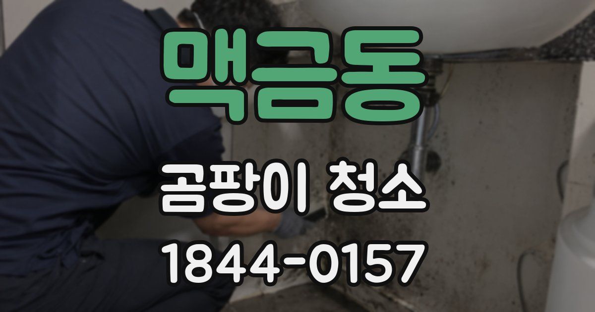 맥금동 곰팡이 청소