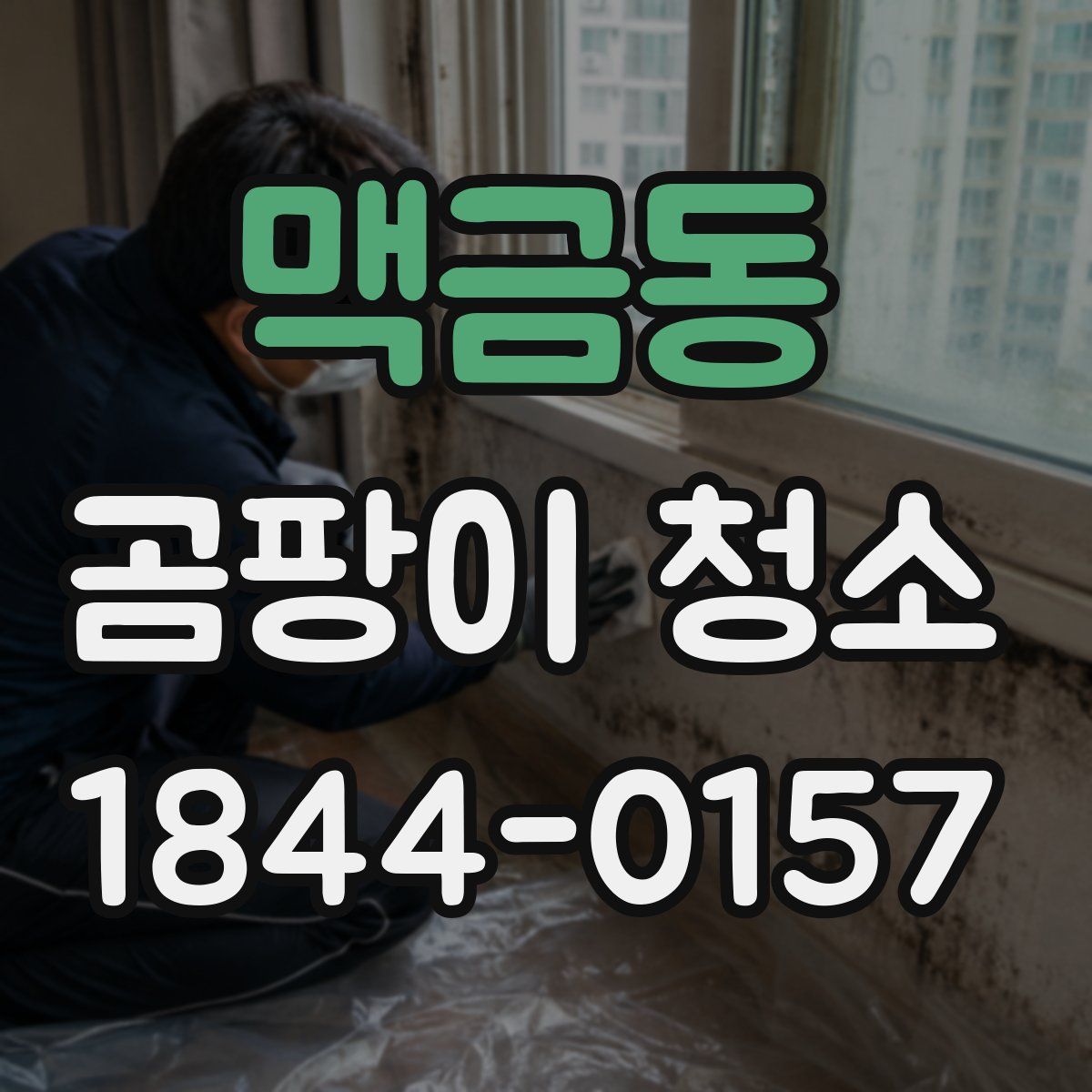 맥금동 곰팡이 청소