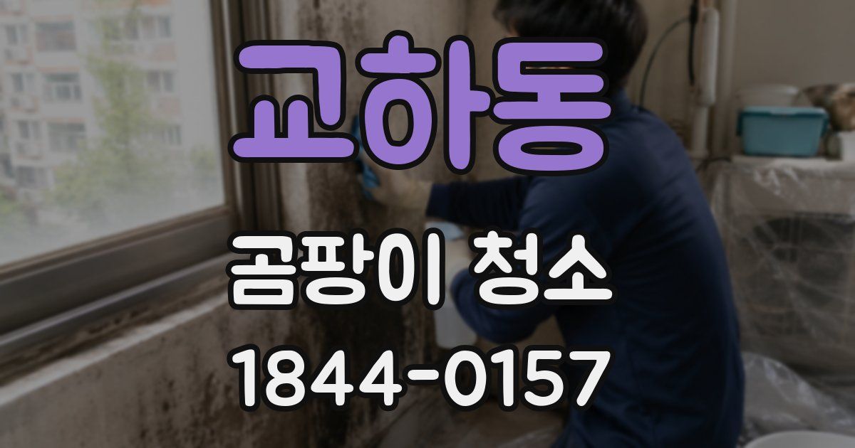 교하동 곰팡이 청소