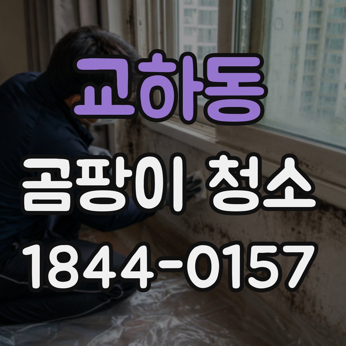 교하동 곰팡이 청소