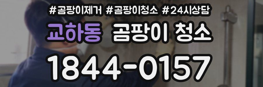 교하동 곰팡이 청소