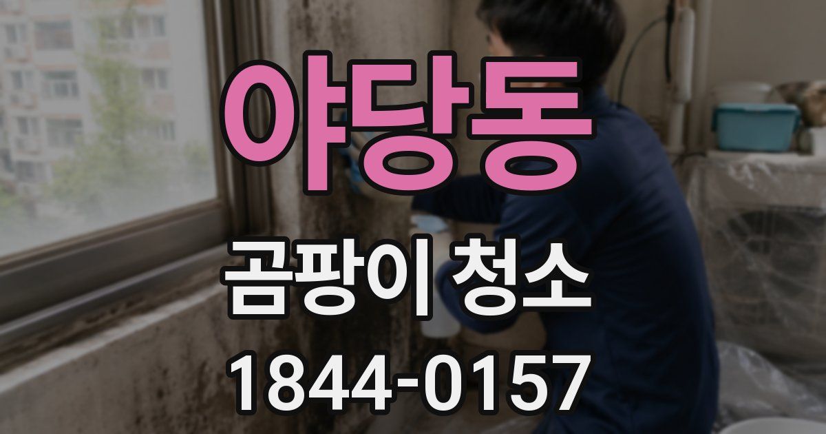 야당동 곰팡이 청소