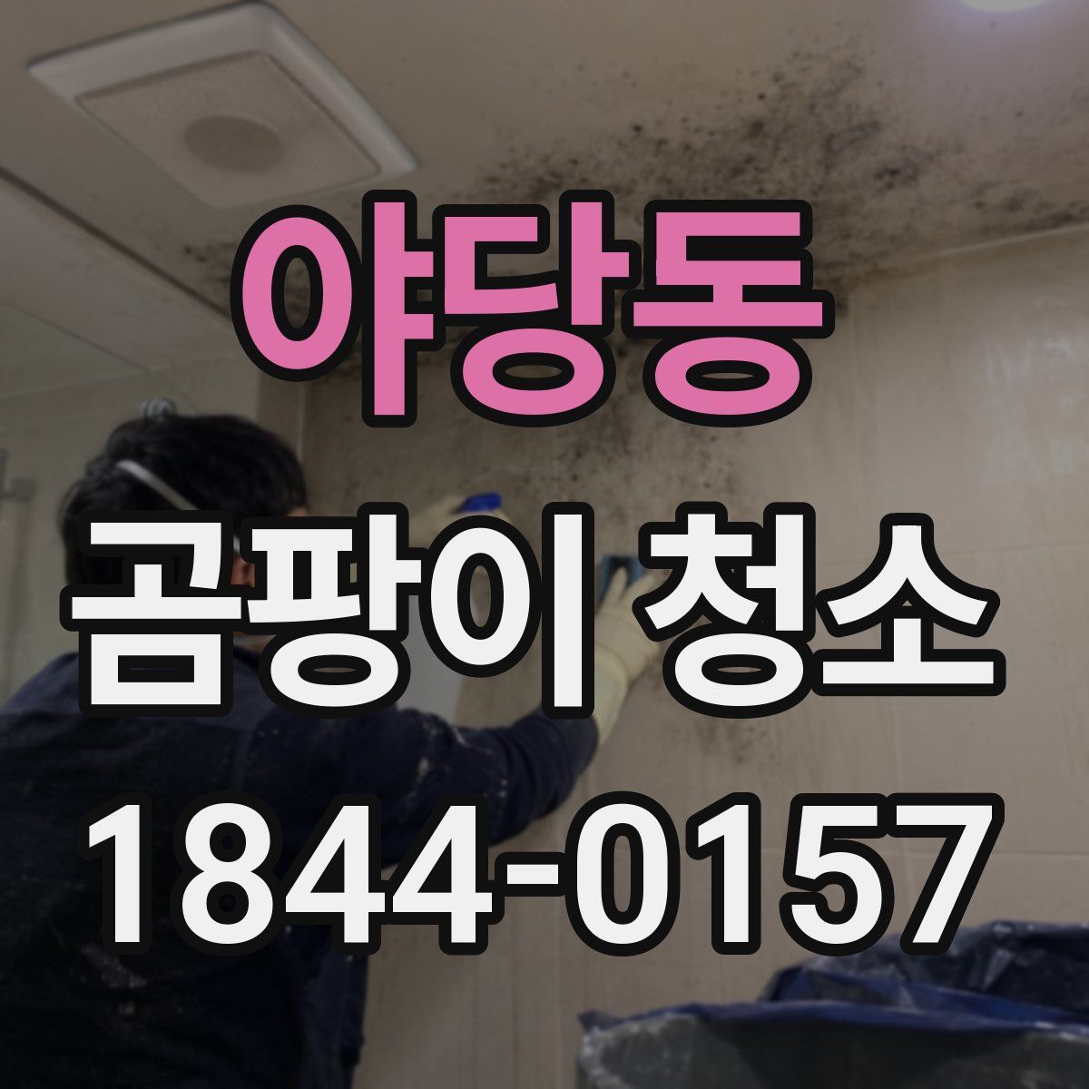 야당동 곰팡이 청소