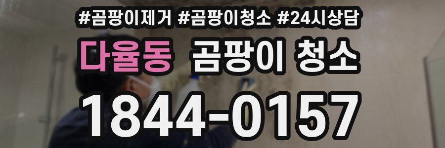 다율동 곰팡이 청소