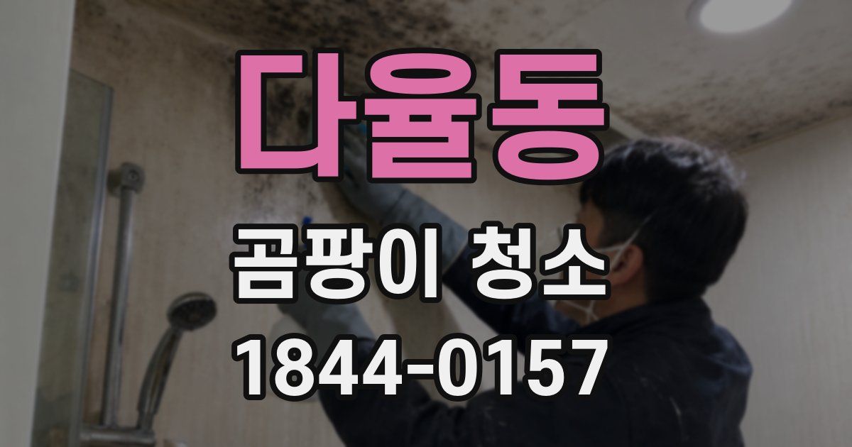 다율동 곰팡이 청소
