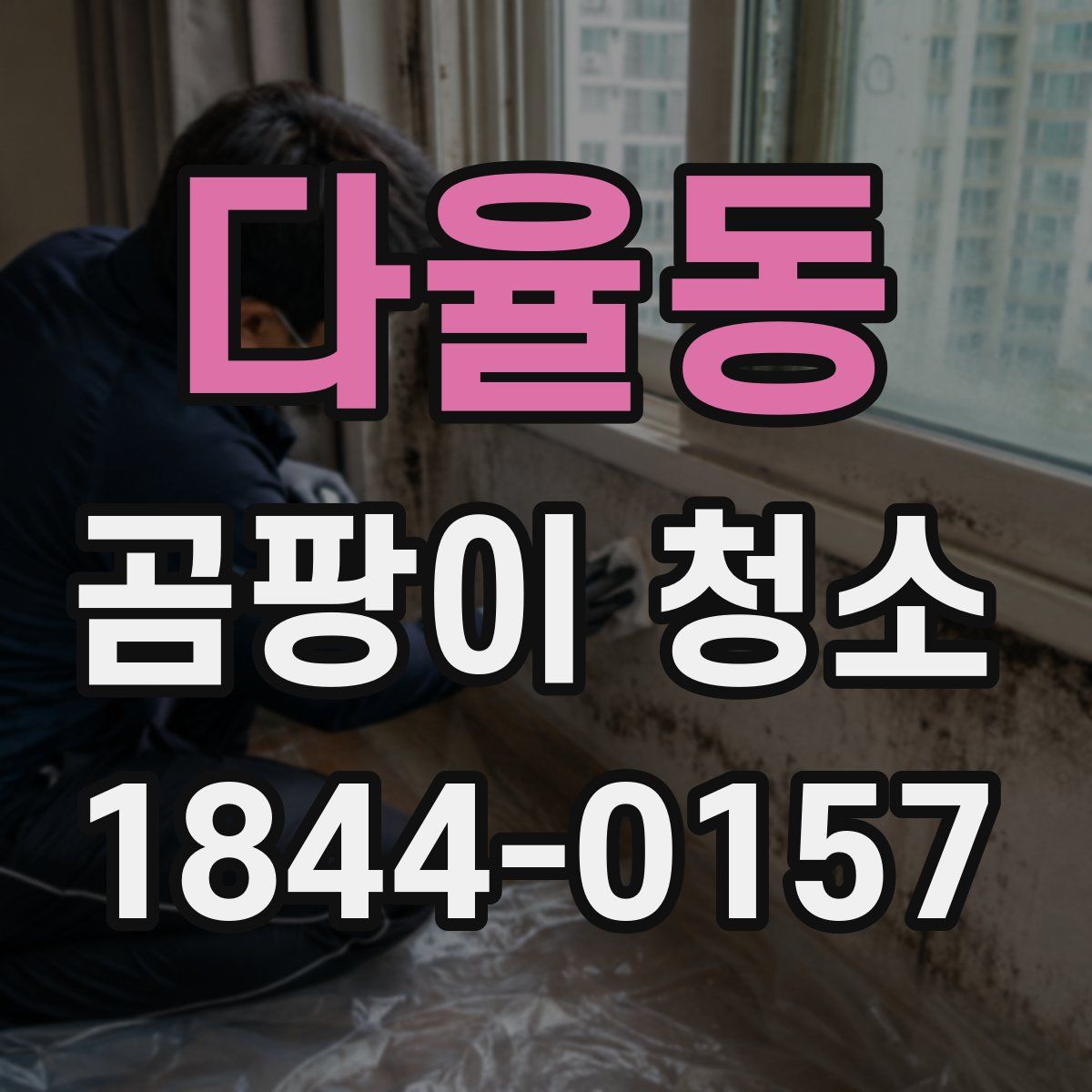 다율동 곰팡이 청소