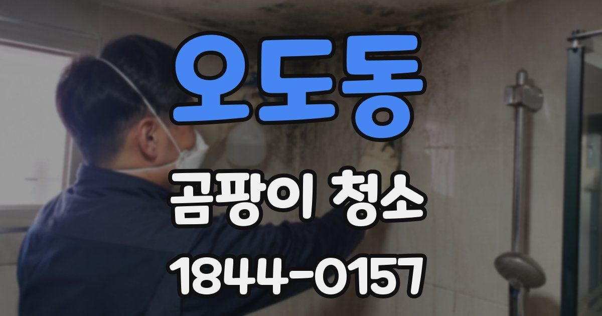 오도동 곰팡이 청소