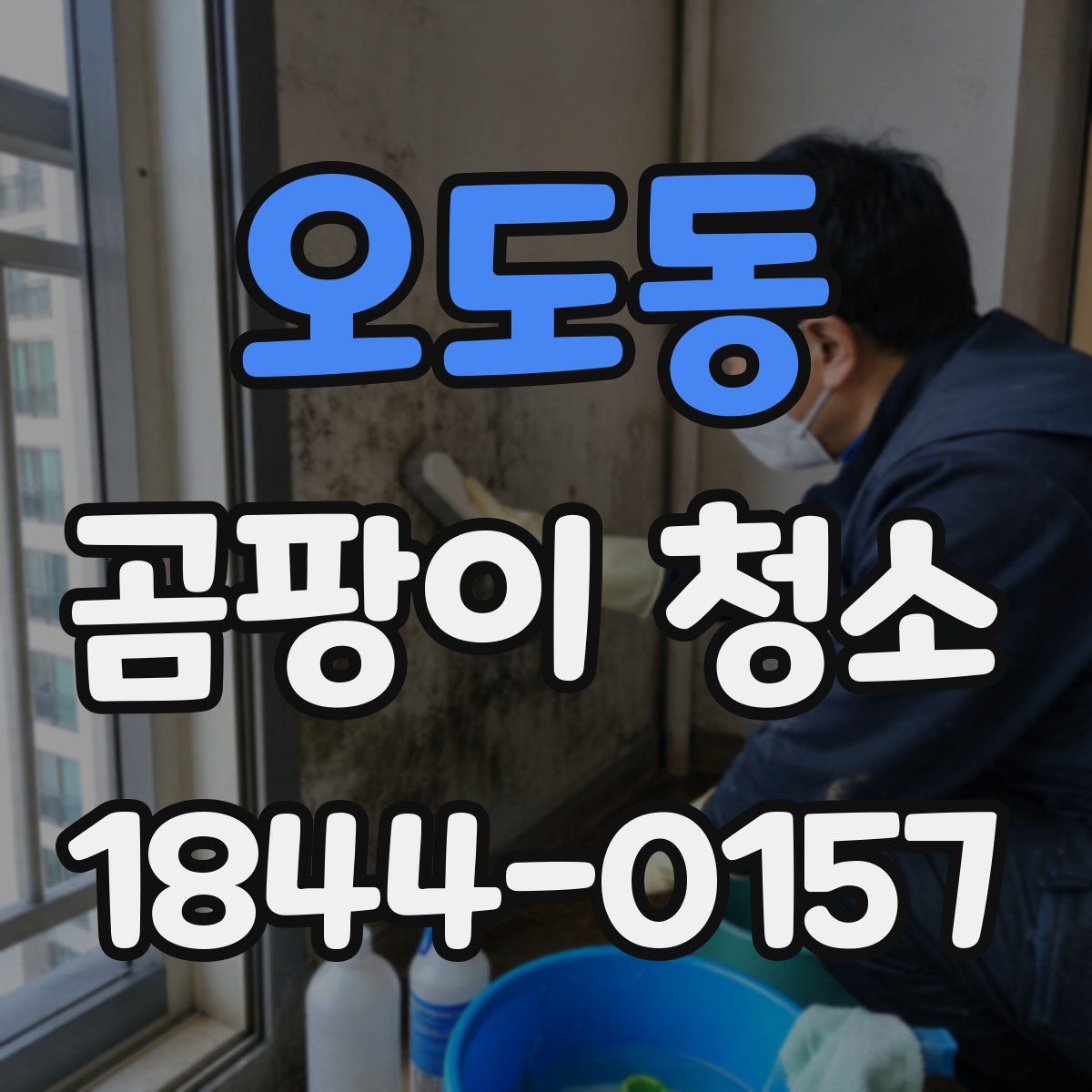 오도동 곰팡이 청소