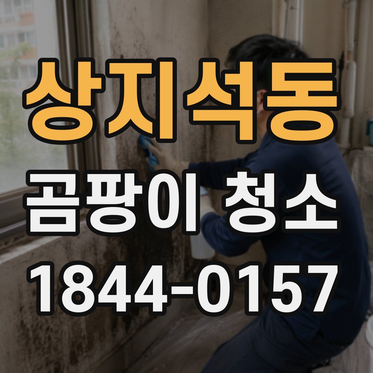 상지석동 곰팡이 청소