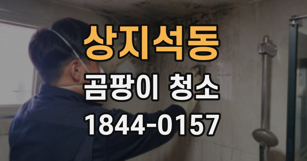 상지석동 곰팡이 청소