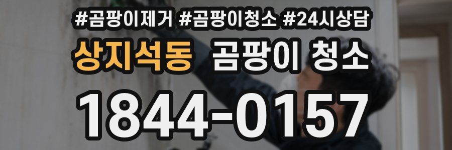 상지석동 곰팡이 청소