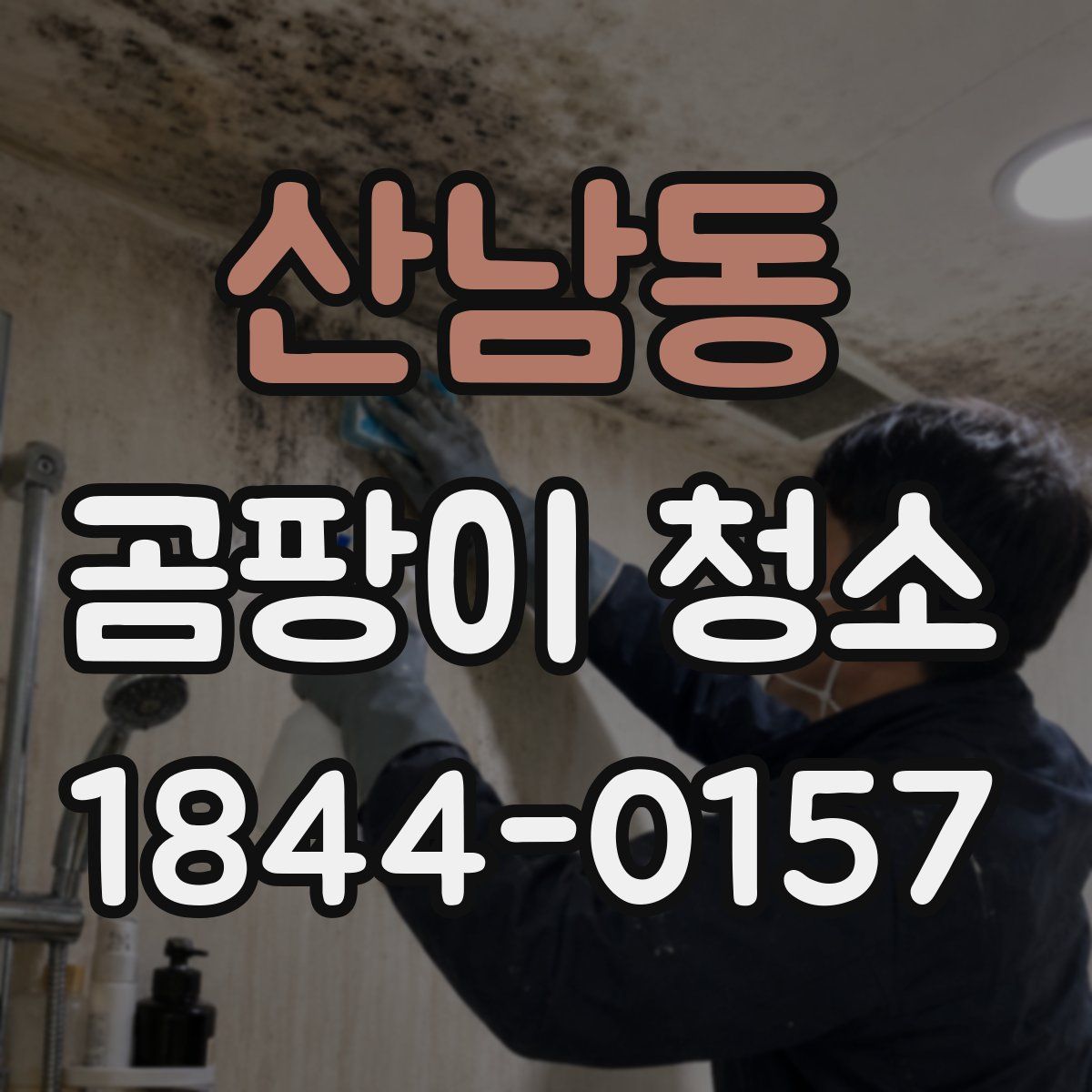 산남동 곰팡이 청소