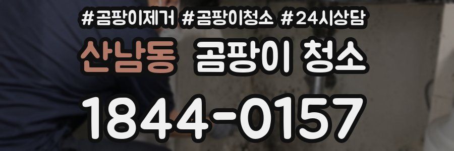 산남동 곰팡이 청소