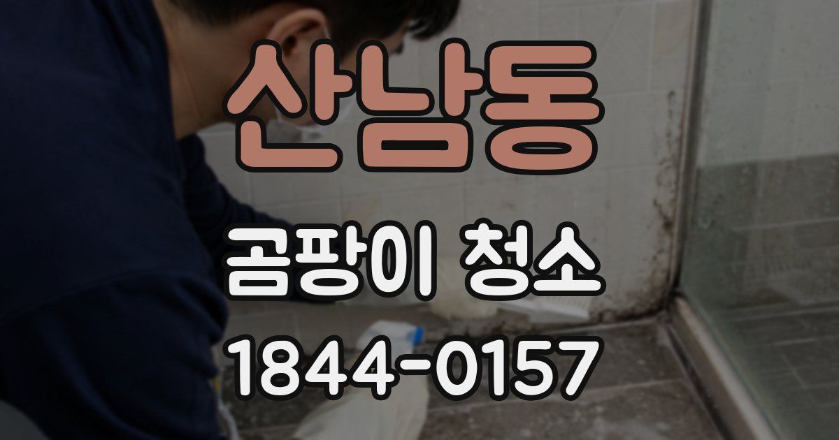 산남동 곰팡이 청소