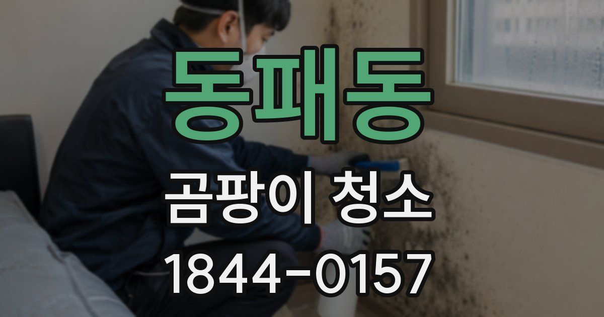 동패동 곰팡이 청소