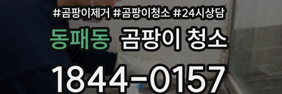 동패동 곰팡이 청소