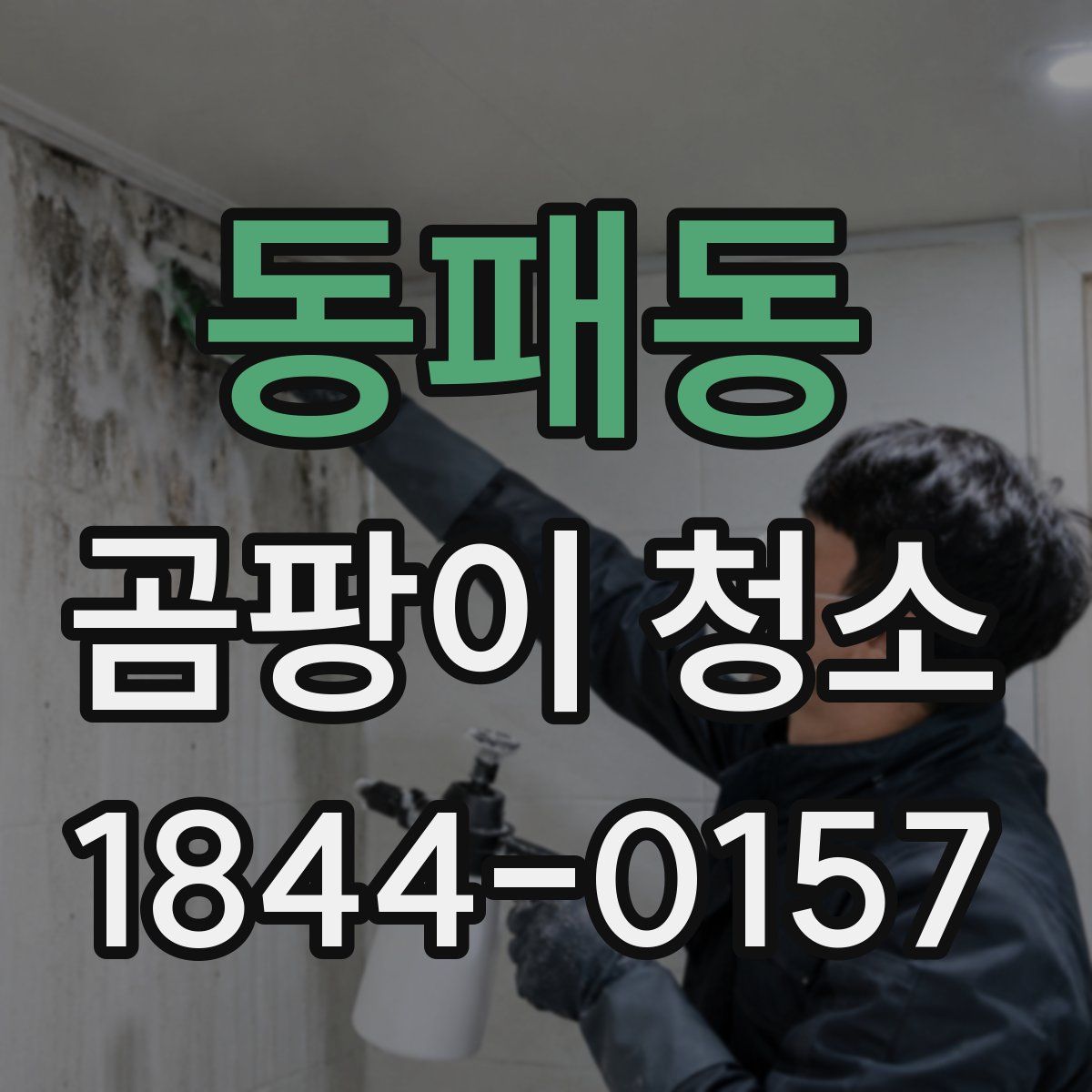 동패동 곰팡이 청소