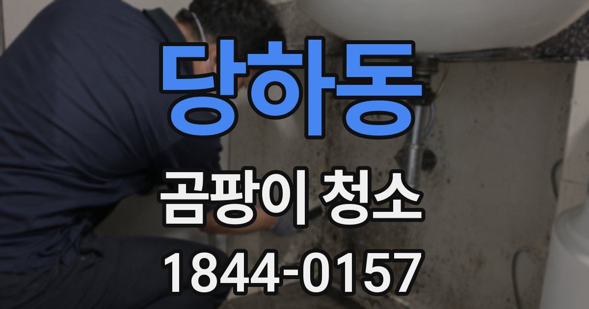 당하동 곰팡이 청소