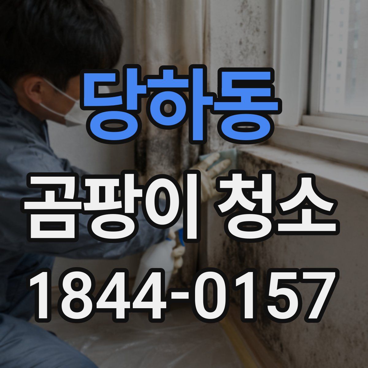 당하동 곰팡이 청소