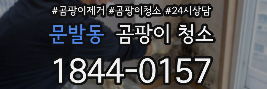 문발동 곰팡이 청소