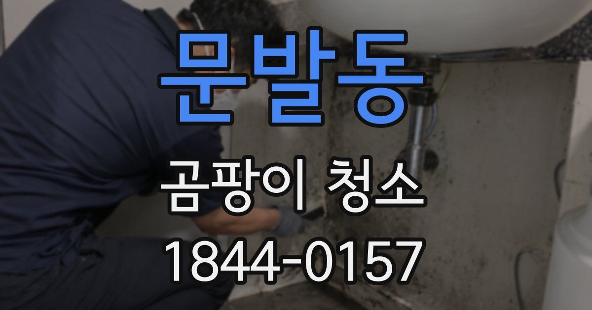 문발동 곰팡이 청소
